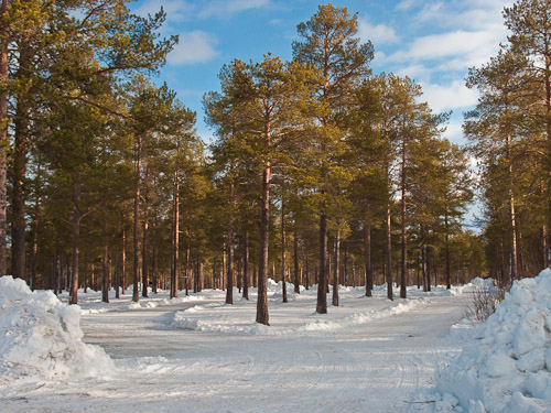 Entrance to camp Quinzhee - Ice Raven - Sub Zero Adventure - Copyright Gary Waidson, All rights reserved.