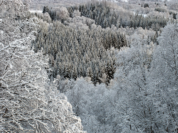 Fresh snow at Andselv - Ice Raven - Sub Zero Adventure - Copyright Gary Waidson, All rights reserved.