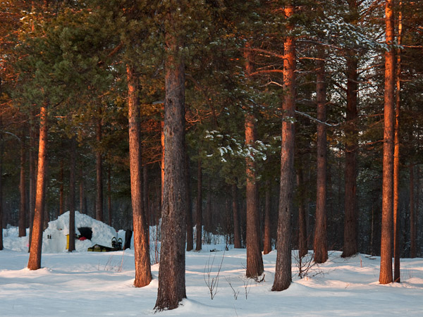 Morning light at Camp Quinzhee - Ice Raven - Sub Zero Adventure - Copyright Gary Waidson, All rights reserved.