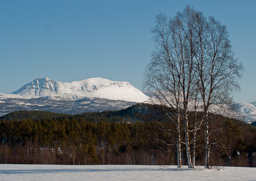 On the road to Malselvfossen - Ice Raven - Sub Zero Adventure - Copyright Gary Waidson, All rights reserved.