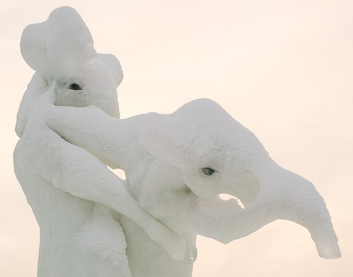 The Elephants in Jokkmokk - Ice Raven - Sub Zero Adventure - Copyright Gary Waidson, All rights reserved.