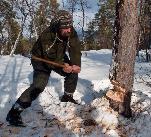 Tree Felling in the Snow - Ice Raven - Sub Zero Adventure - Copyright Gary Waidson, All rights reserved.